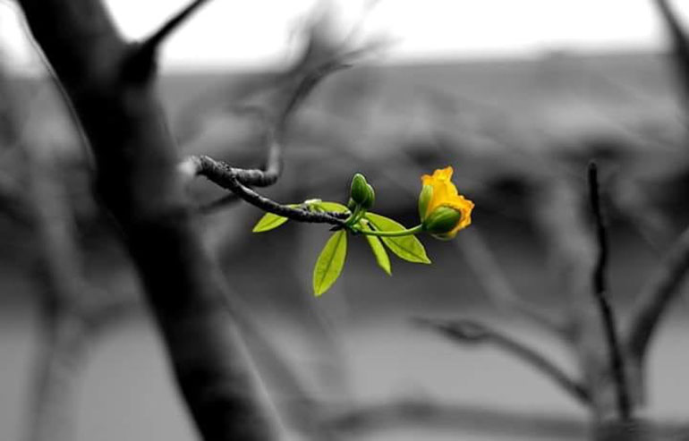 Biết yêu thương đúng cách cũng là một loại trí tuệ đấy !.